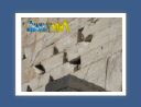 athenes024.jpg