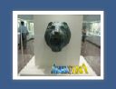 olympie097.jpg