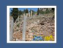 delphes057.jpg