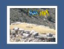 mycenes014.jpg