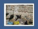 olympie007.jpg