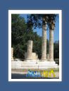 olympie072.jpg