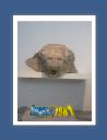 olympie092.jpg