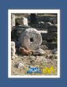 olympie017.jpg