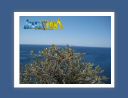 capsounion017.jpg