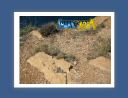 capsounion027.jpg