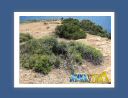 capsounion028.jpg