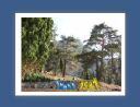 delphes003.jpg