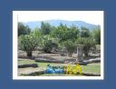 olympie026.jpg