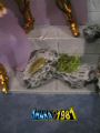 ludo-sanctuary8.jpg
