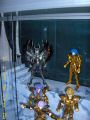 sallehades13.jpg