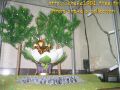 twinsals14.jpg