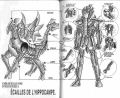 2biann-hippocampe.jpg
